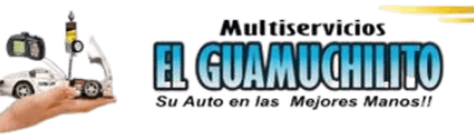 Multiservicios el guamuchilito