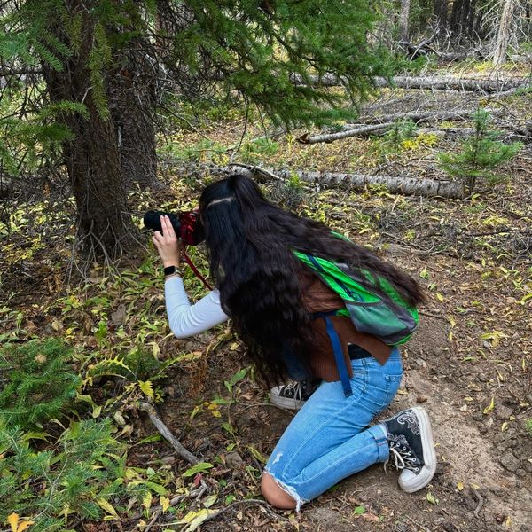 Person kneeling and taking a photo in the forest.