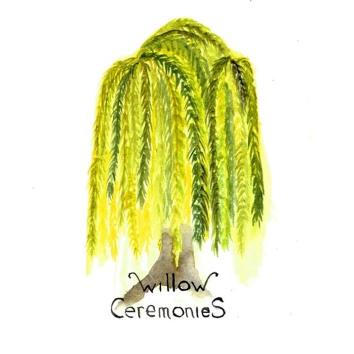 Willow Ceremonies logo - a water coloured willow tree
