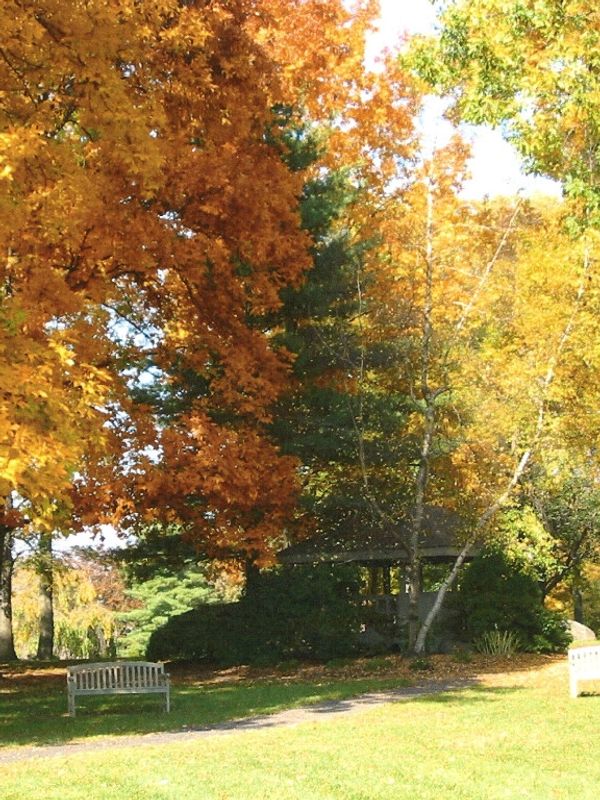 The Hermitage Homeowners Association