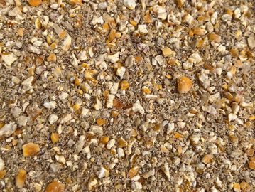 Close-up of crushed corn kernels.