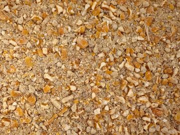 Close-up of crushed corn kernels and meal.