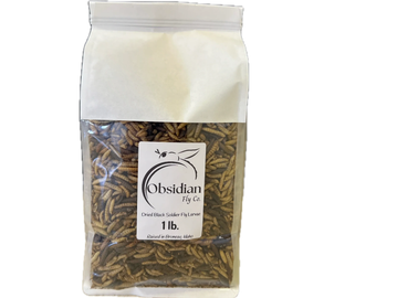 Package of dried black soldier fly larvae from Obsidian Fly Co.
