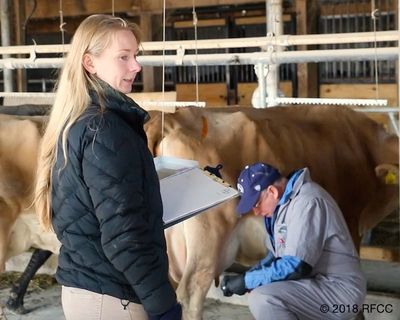 Liz Reitzig Helping Dr. Wolfgang Gather Info Regarding RB51 Vaccine-Related Bacteria Situation