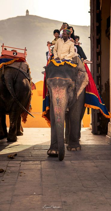 Tourists riding decorated elephants with a guide in a scenic location.
