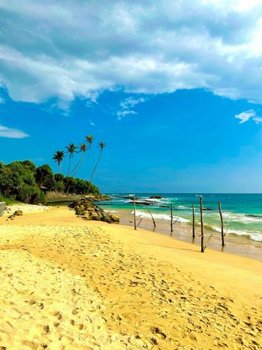 Sunny beach with palm trees and clear blue sky.