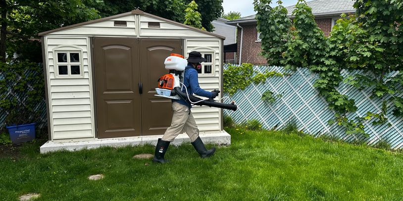 Safe, effective tick spray treatments in Mississauga. Protect your yard, family, and pets from ticks