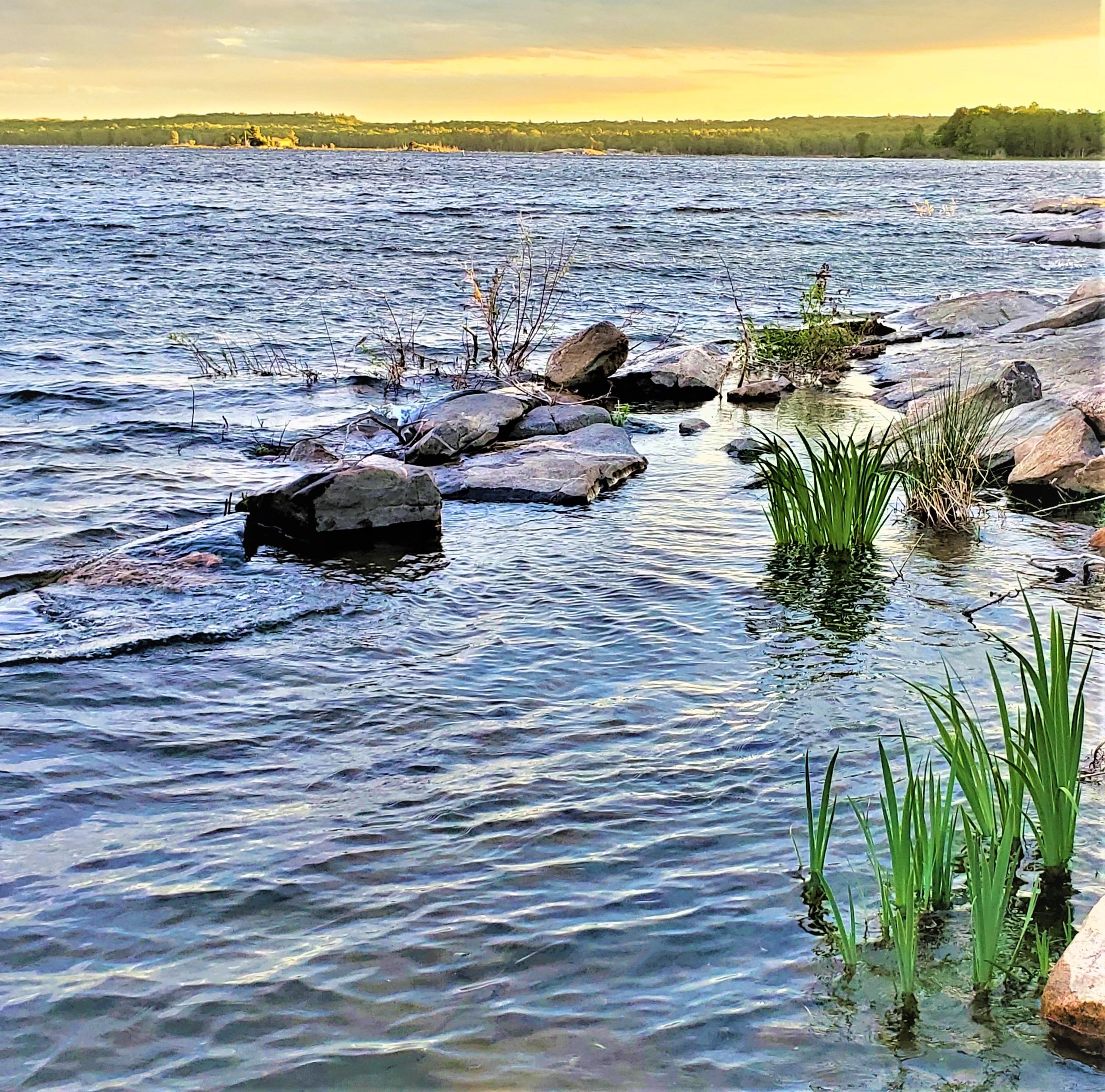 Diverse shoreline south eastern Georgian Bay