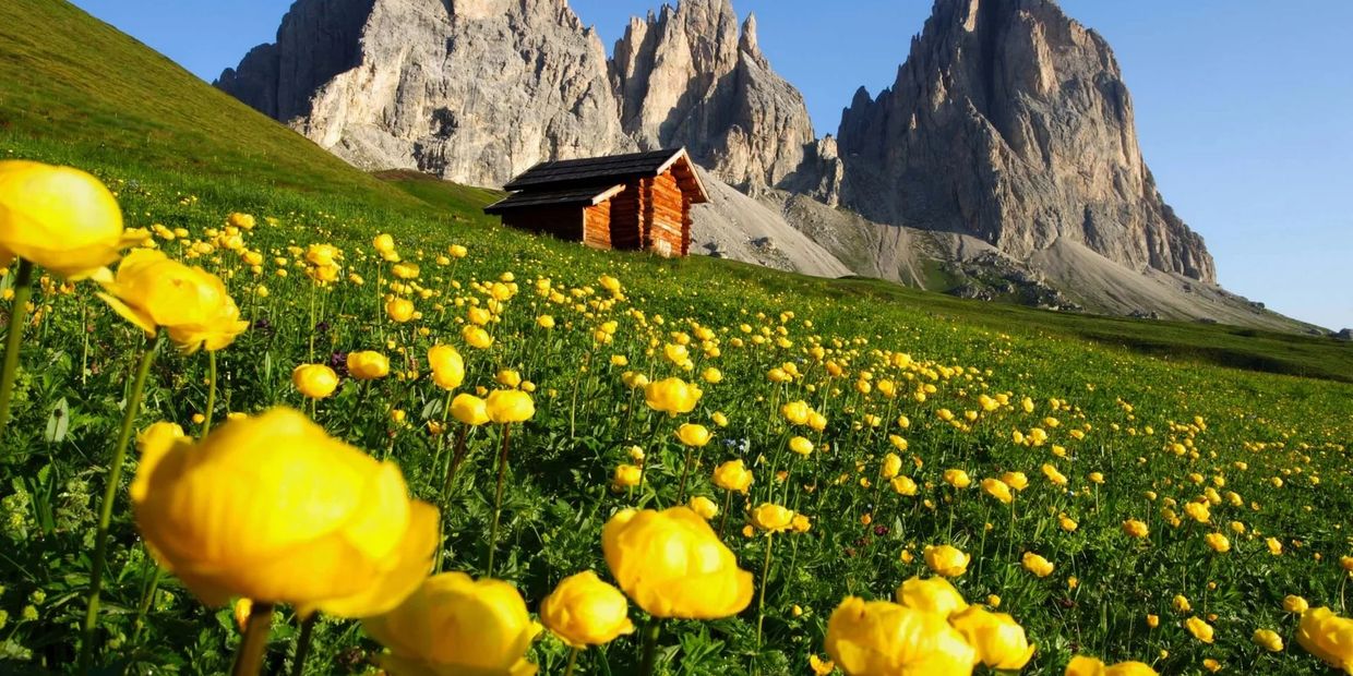 Il Ponte del 25 Aprile è l’occasione perfetta per vivere la  val di Fassa, in tutta la sua bellezza!