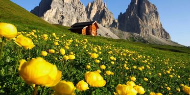 La primavera sboccia tra le Dolomiti! Il  25 Aprile è l’occasione per immergersi nella natura