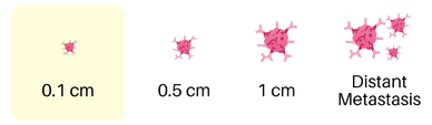 Circulating Tumor Cell (CTC)