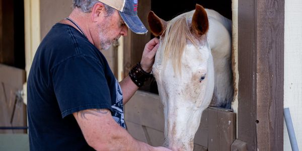 Dr. Joe Dziezgowski DC Equine and animal chiropractor getting ready to adjust a horse