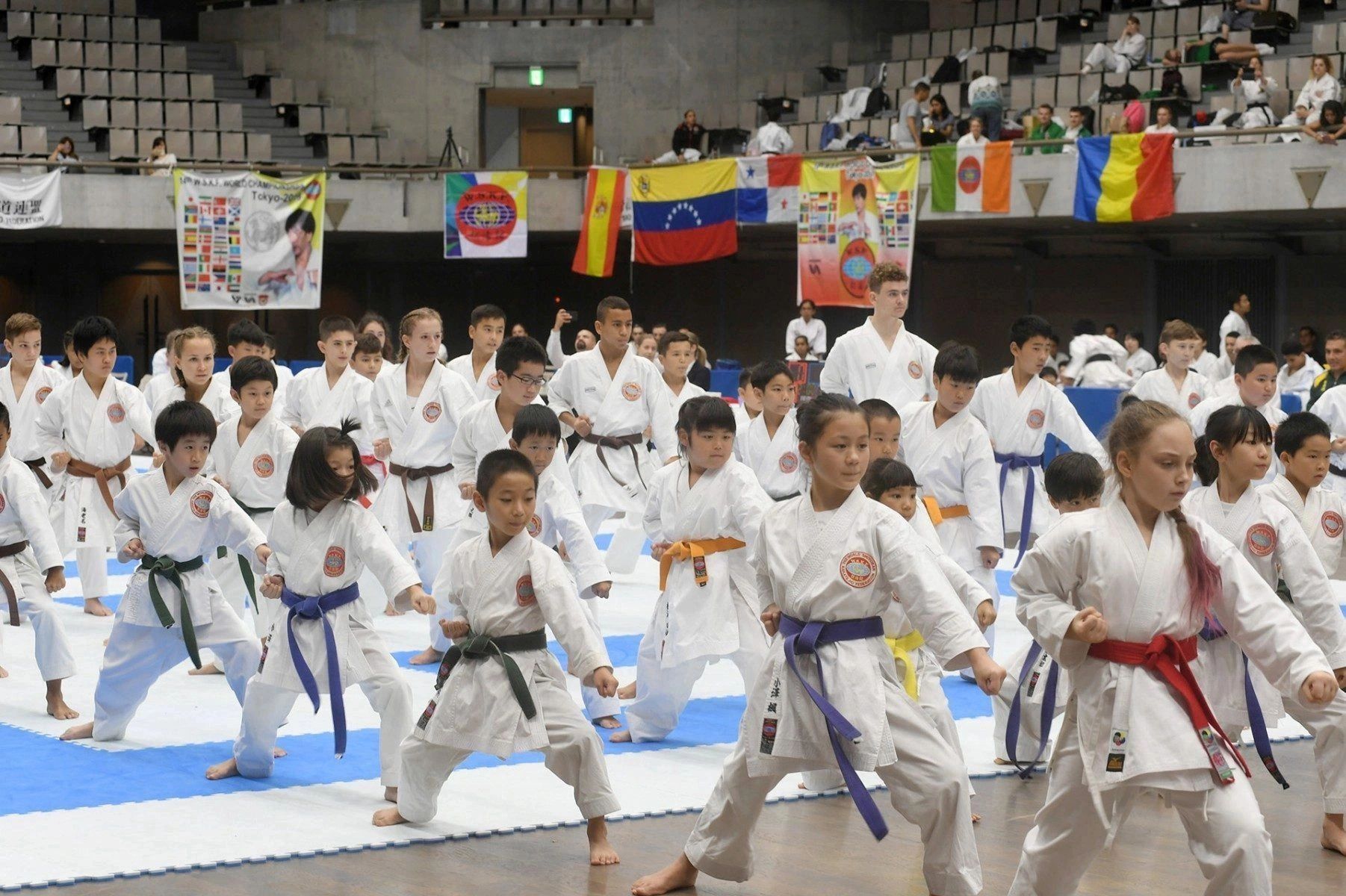 制度 System | World Shotokan Karate-Do Federation WSKF