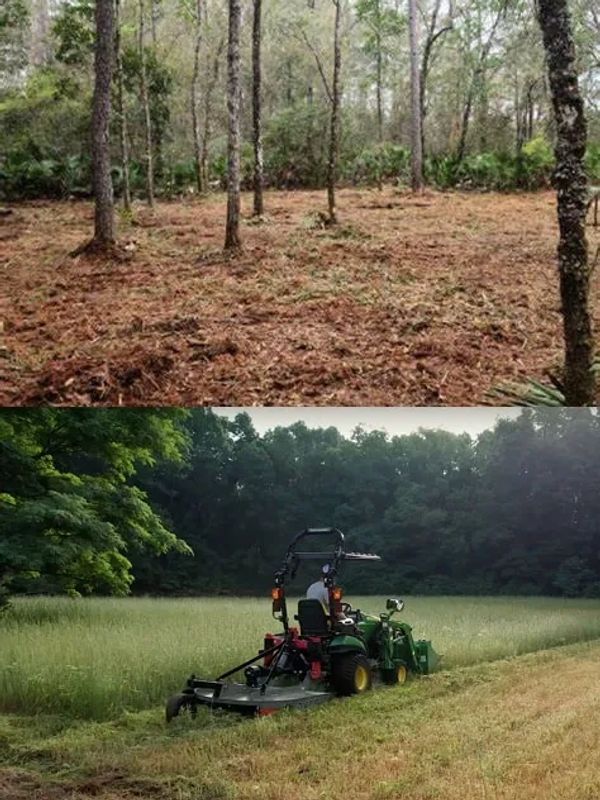 Enviromental, thinning brush is a crucial practice in forest management that helps trees grow better.