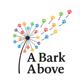 Discover A Bark Above Boarding