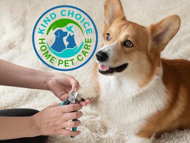 dog training