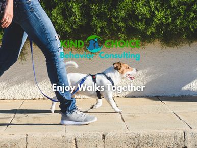 Dog training