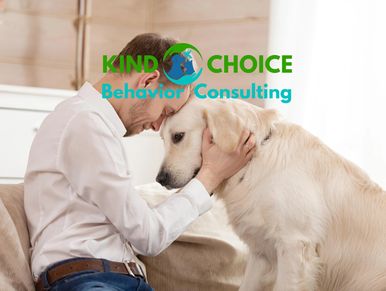 dog training