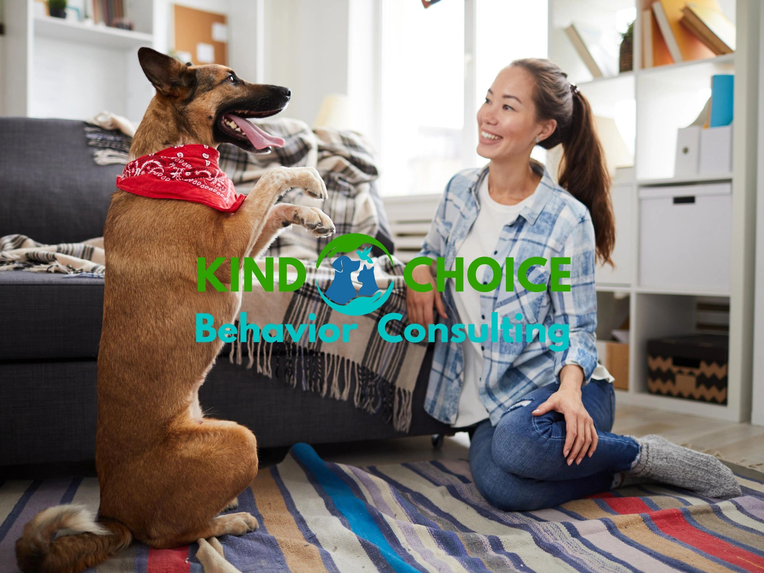 Dog Training Solutions from a Certified Canine Behavior Consultant