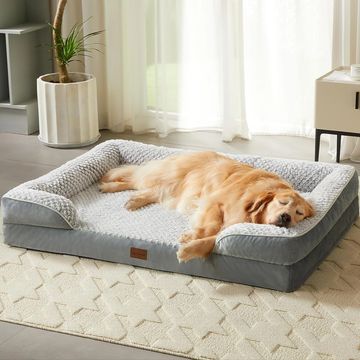 dog relaxation