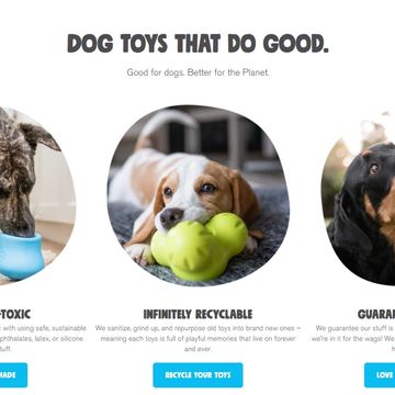 canine enrichment