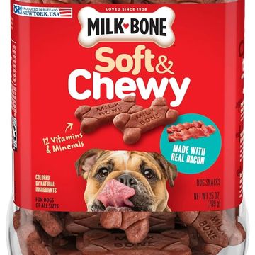 dog treats