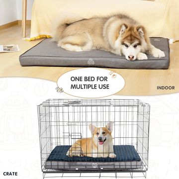dog relaxation