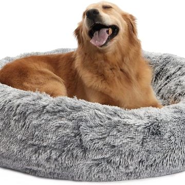Dog relaxation