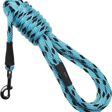 BAT leash