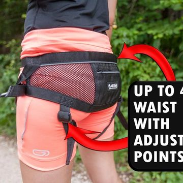 dog walking gear
