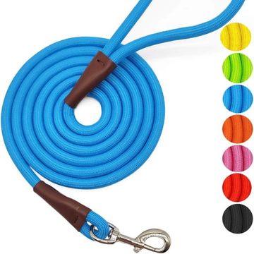 Dog walking gear