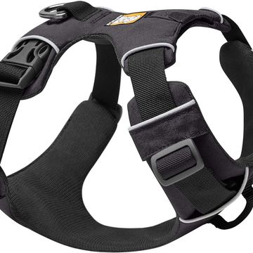 dog harness