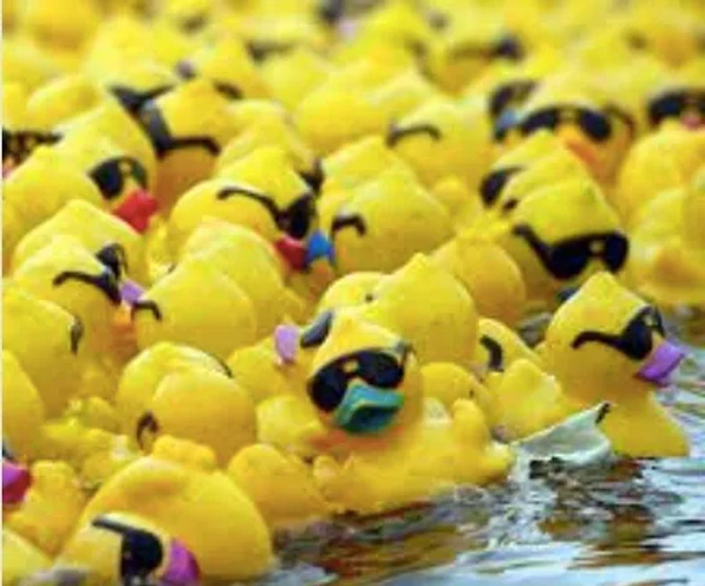Rubber Duck Rodeo & More