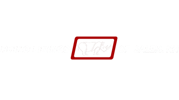 Rhino Linings of Salem NH