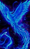 Blue Phoenix Designs LLC