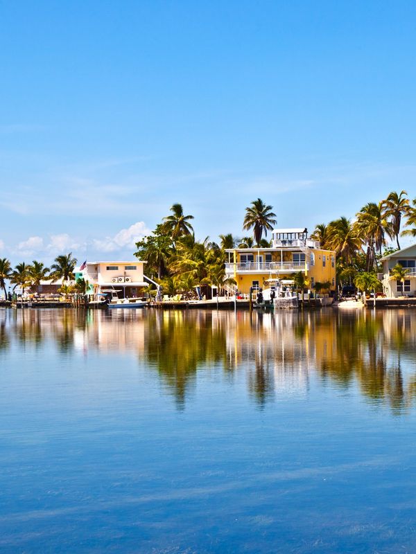 A Resort on the Shores of the Ocean With Palm Trees