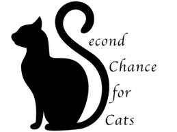 Second Chance for Cats
