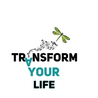 Transform Your Life - EC