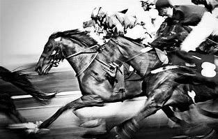 Black and white image of horses racing with jockeys signifies efficient and expedient legal results