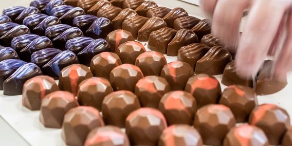 Hand made chocolate on tray