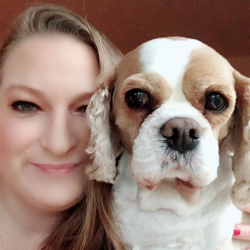 Dog Boarding Cleo's Doggie Daycare & boarding