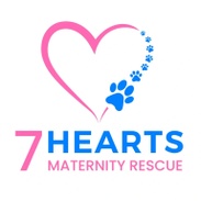 7 Hearts Maternity Rescue 
