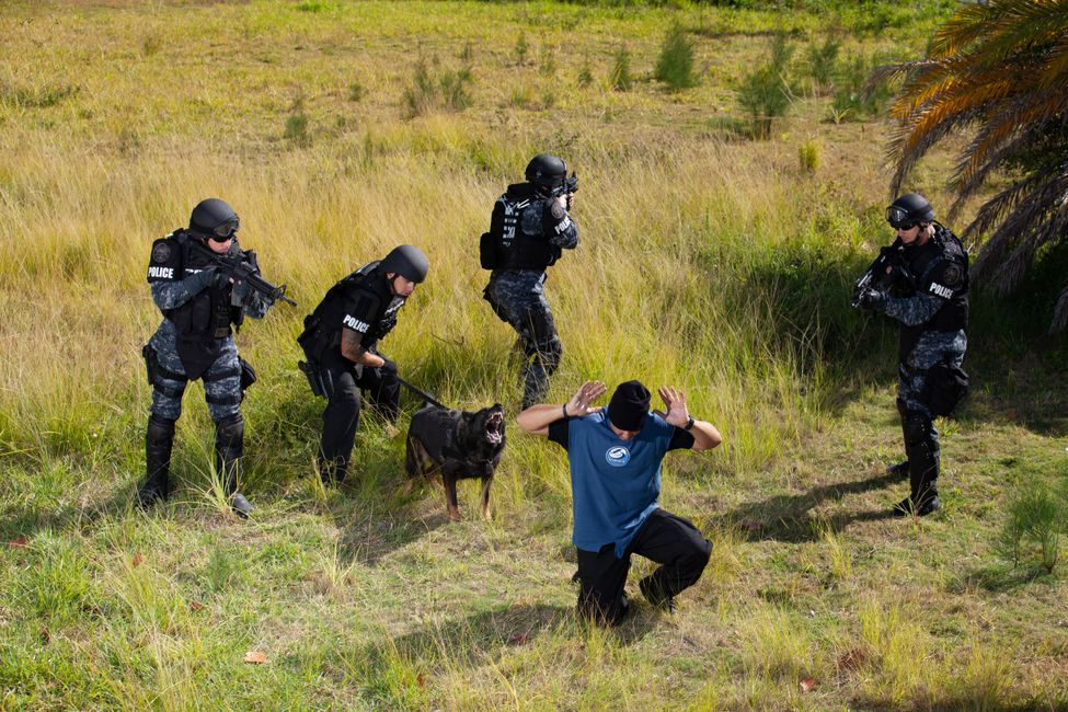 Tactical Tracking American Overwatch K9 Services