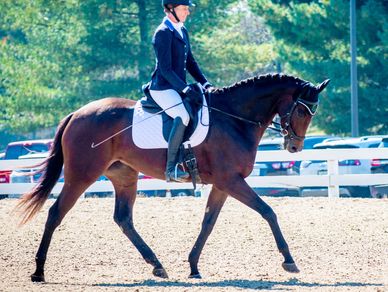 Equestrian rider in formal attire on a horse during a dressage event.