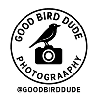 Good Bird Dude Photography & Bird Guide