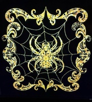 House of Spider