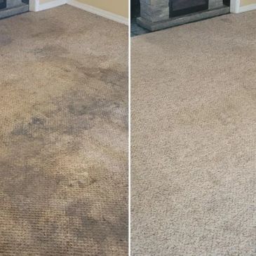 O'Toole Carpet & Upholstery Cleaning