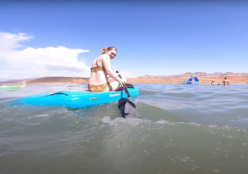 motorized paddleboarding attachment for paddle oar for paddleboarding and inflatable paddleboarding