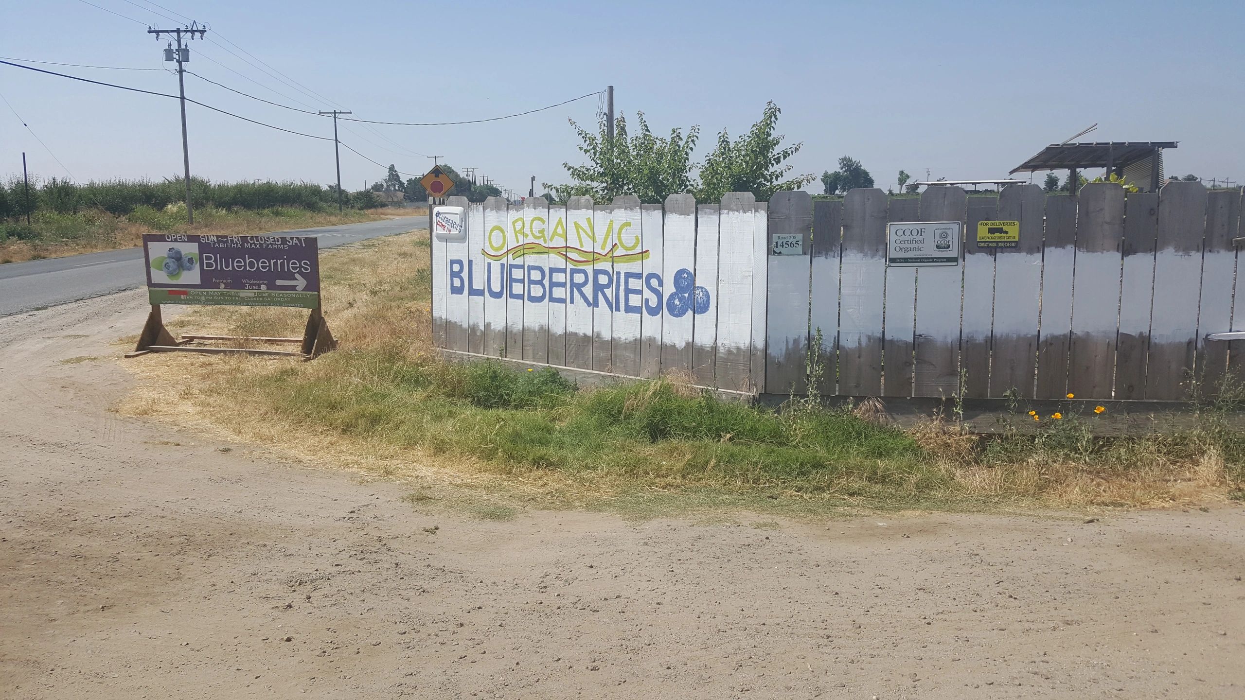 Julies U Pick in Porterville