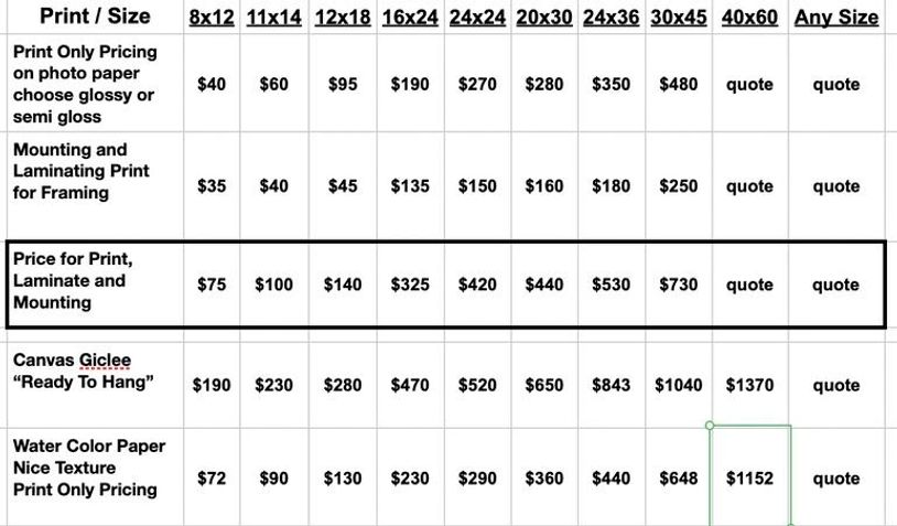 Pricing chart for various print sizes and services including mounting and canvas giclee.